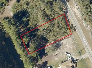 53 Fisher Way LOT 53, Ocklawaha, FL 32179