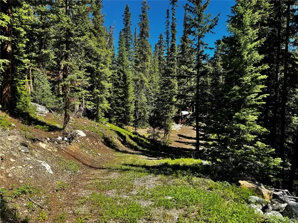 868 Sacramento Crossing LOT 1001, Fairplay, CO 80440