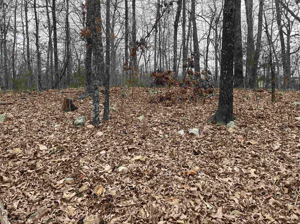 Kamiakin Cir, Cherokee Village, AR 72529