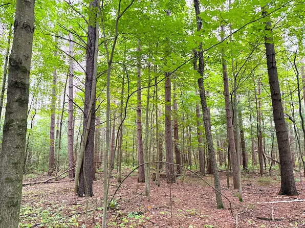 Woodsman Ln, Clintonville, WI 54929