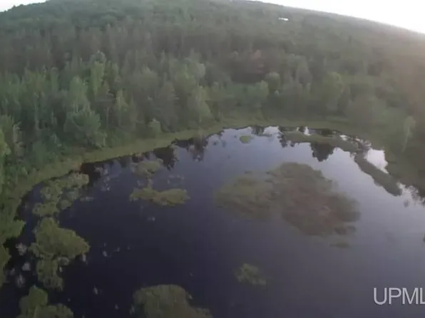 1591 E Millyard Rd, Little Lake, MI 49833