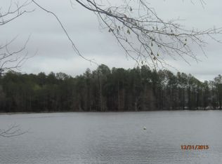 196 Crystal Cove Ct, Chapin, SC 29036