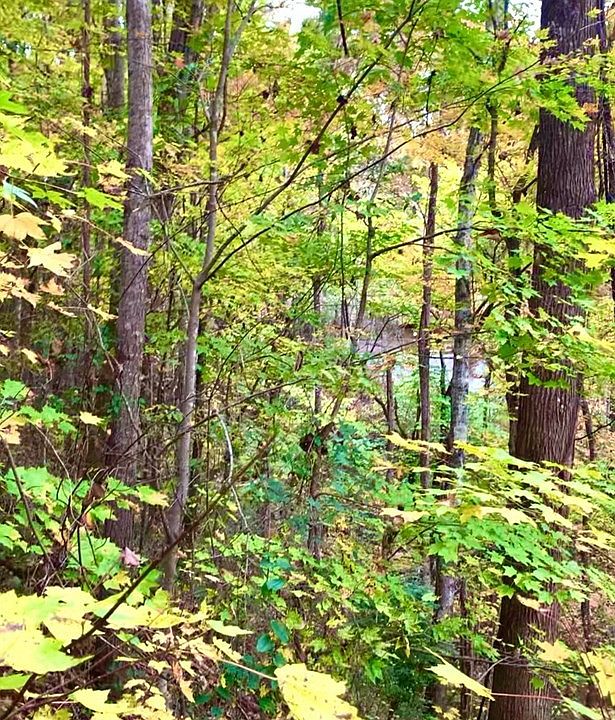 2nd image of 0 Ridgecrest Dr Lot 238