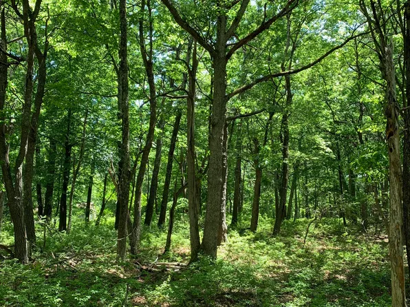Squirrel Rd, Dingmans Ferry, PA 18328