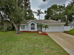 885 Andken Ln, Port Orange, FL 32127