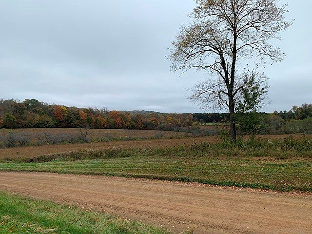 2nd image of 0 Mitchell Hollow Rd