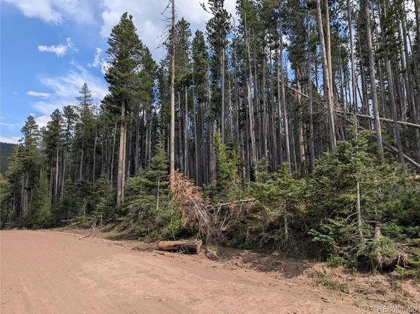 3440-3441 Drexler Place, Fort Garland, CO 81133