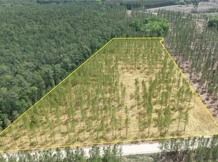 3000 Buck Swamp Rd, Brunswick, GA 31523