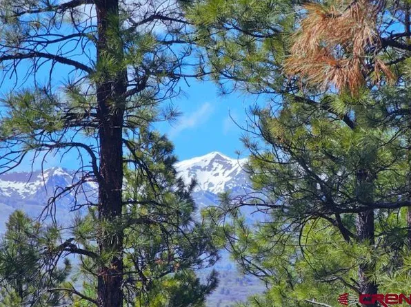 TRACT 1 Browns Lake Road, Durango, CO 81303