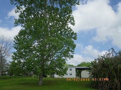 5th image of 64 County Road 243
