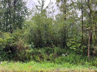 Springfield Rd, Warrensville heights, OH 44128