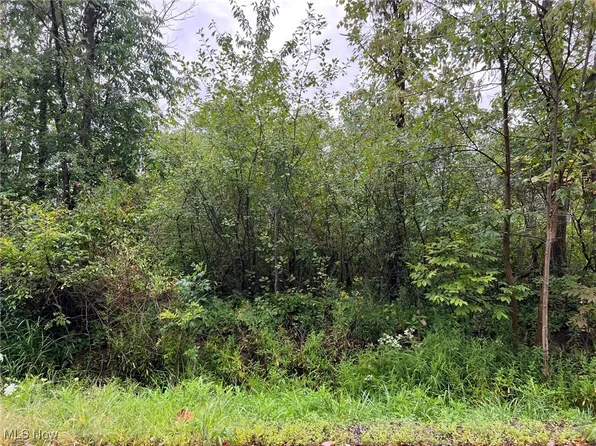 Springfield Rd, Warrensville Heights, OH 44128