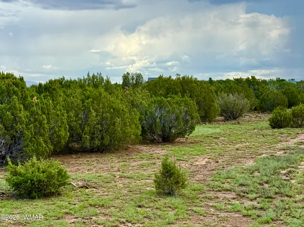 85 County Road 8128, Concho, AZ 85924