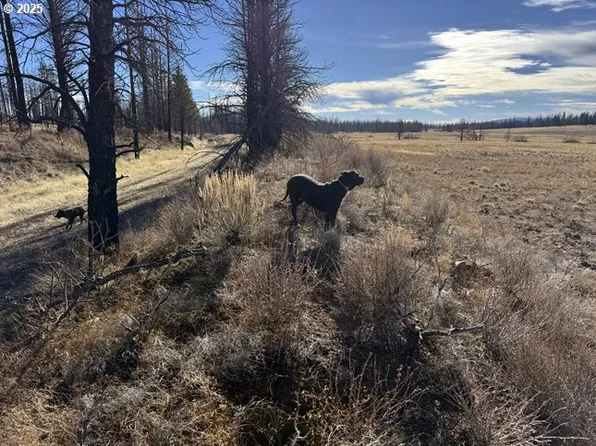 Yellow Pine Rd #13, Bly, OR 97622
