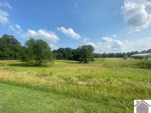 0 Slaughter Rd, Benton, KY 42025