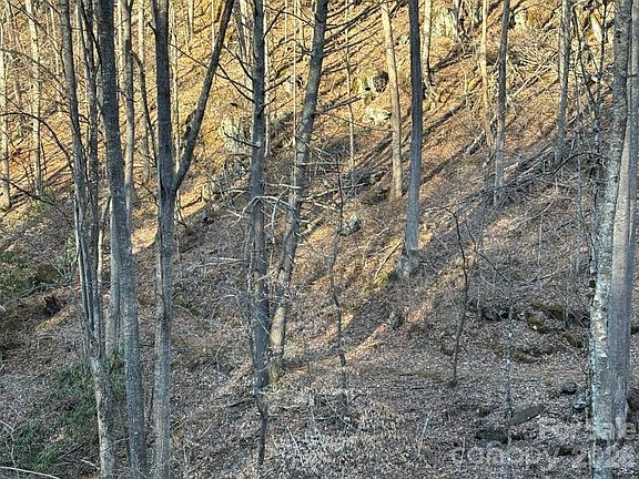 5th image of 324 Marble Mine Rd
