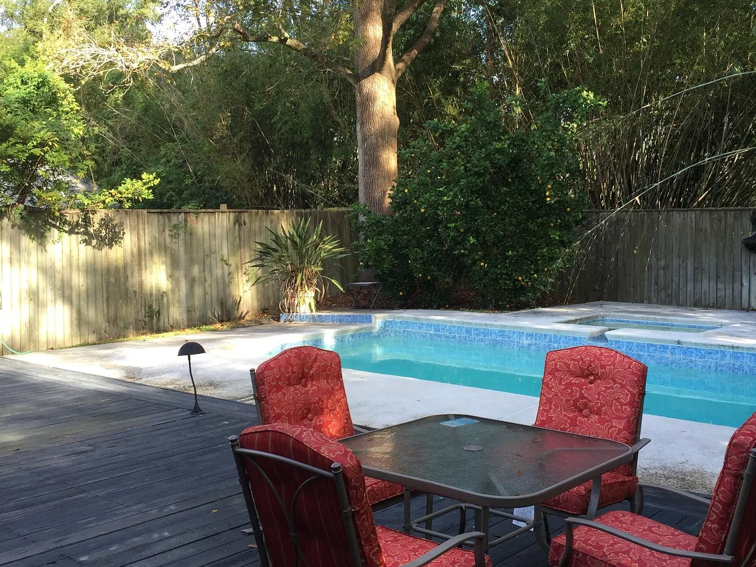 2 bed, 1300 sqft, $3,000 — Photo 3