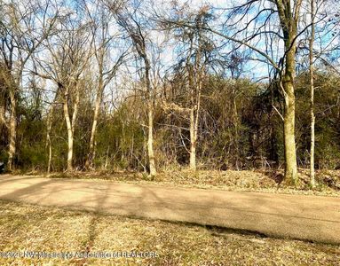 13 E Shahkoka Dr, Olive Branch, MS, 38654