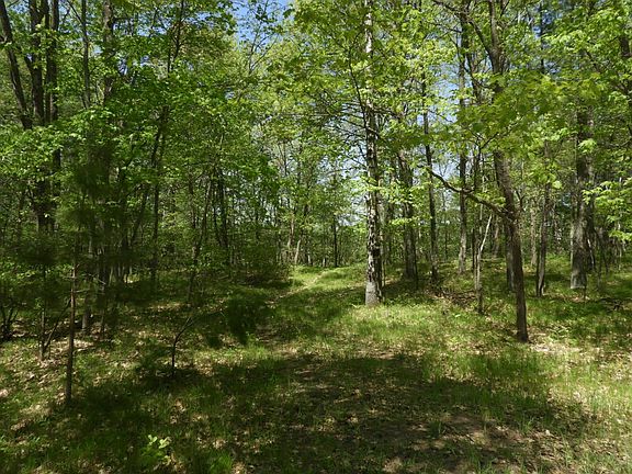 5th image of 625X Iron Lake Rd