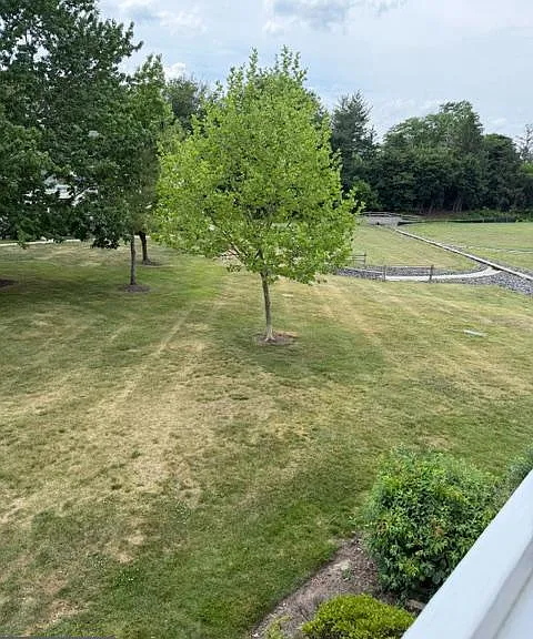 212 Mill Run Ct — Photo 9