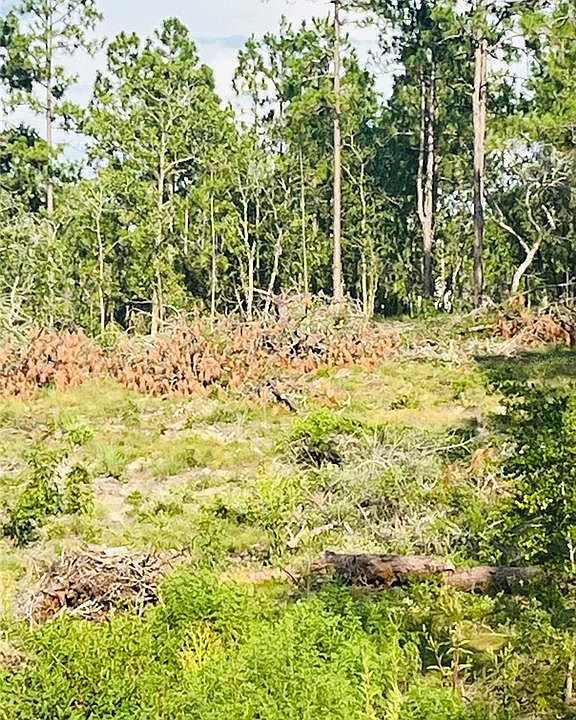 0 SE 146th Ter 11, Williston, FL 32696 Zillow