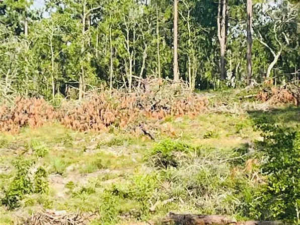0 SE 146th Ter #11, Williston, FL 32696