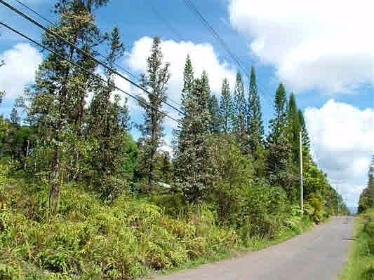 1st image of 16-1842 Road 1 Lot 2381