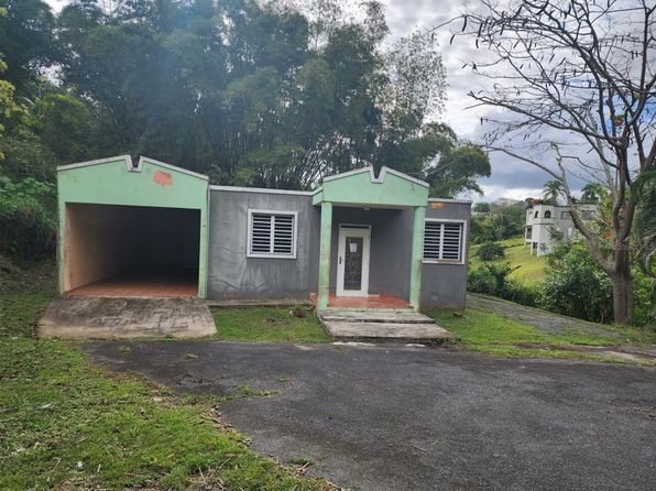 Bambu Street Rabanal #BO-6, Cidra, PR 00739