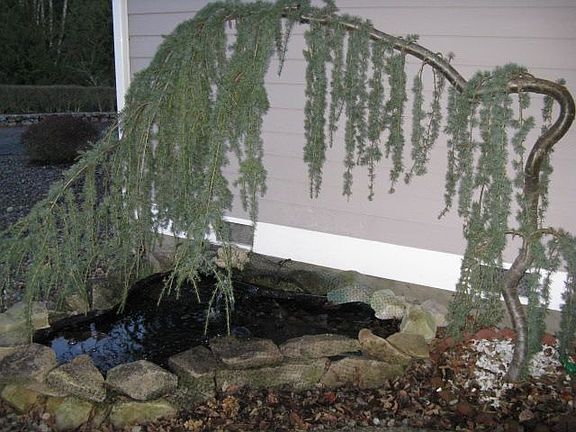 View of front porch area