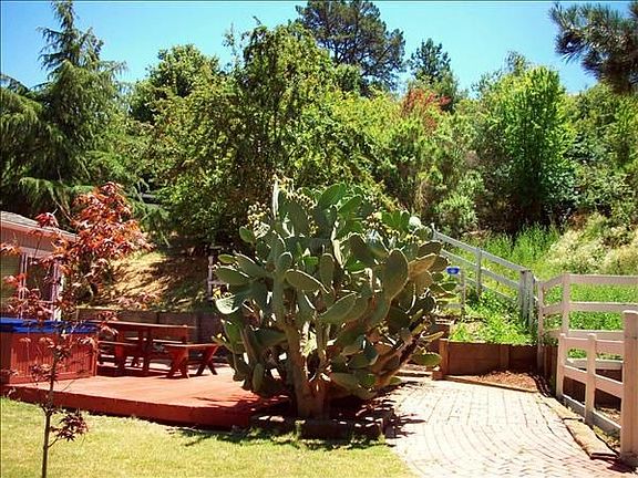 5th image of 736 Vine Hill Way