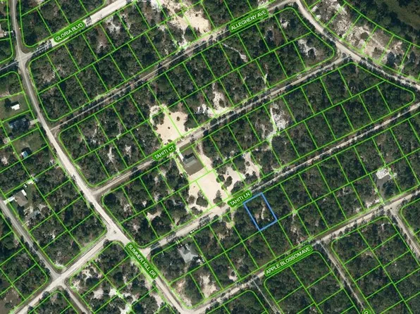 411 Tahiti Ln #6, Lake Placid, FL 33852