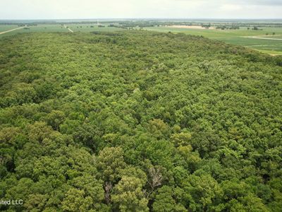 Fox Rd, Shaw, MS, 38773