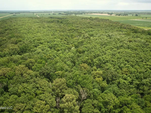 Fox Rd, Shaw, MS 38773