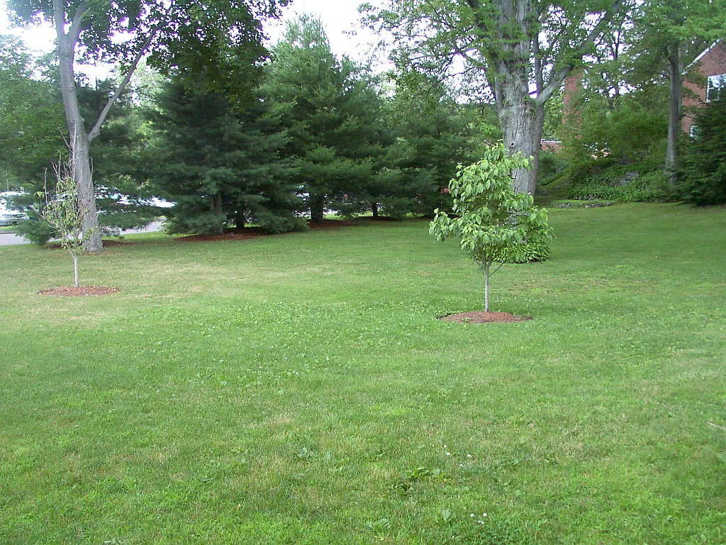 2 bed, 2.5 bath, 1235 sqft, $4,185 — Photo 2