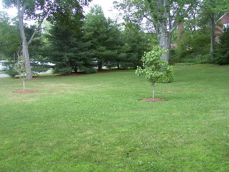 Gerry Rd — Photo 2