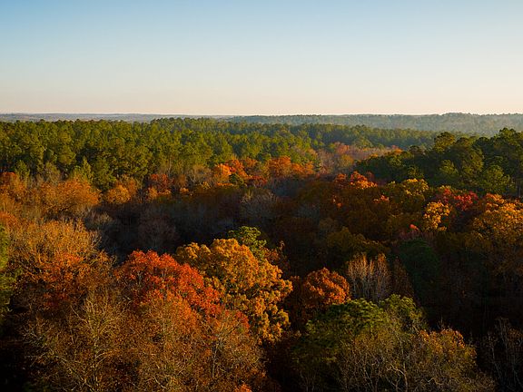 26th image of this home