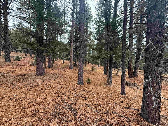 3rd image of Lot 37 S Valle Grande Trl