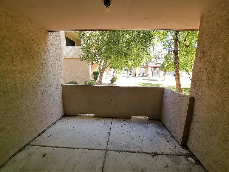1215 E Lemon St #113 — Photo 16