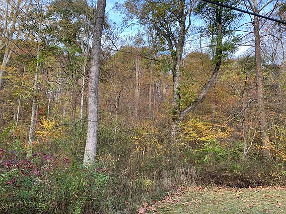 15th image of this home