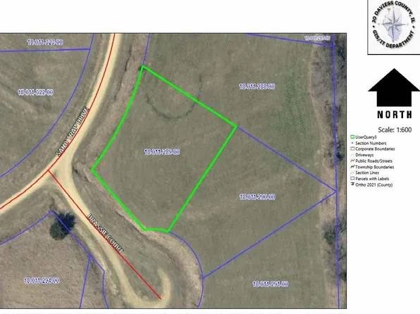 11A289 Brassie Ct, Apple River, IL 61001