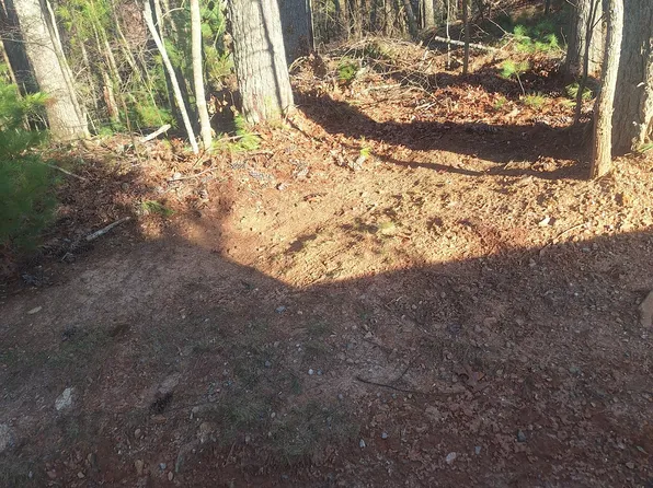 0 Toccoa River Frst, Mineral Bluff, GA 30559