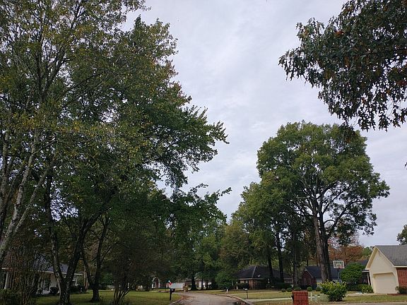 4th image of 3204 Stowers Dr