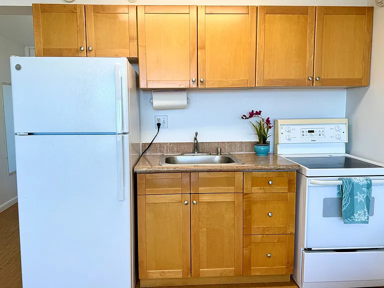 445 Seaside Ave #4317 — Photo 5