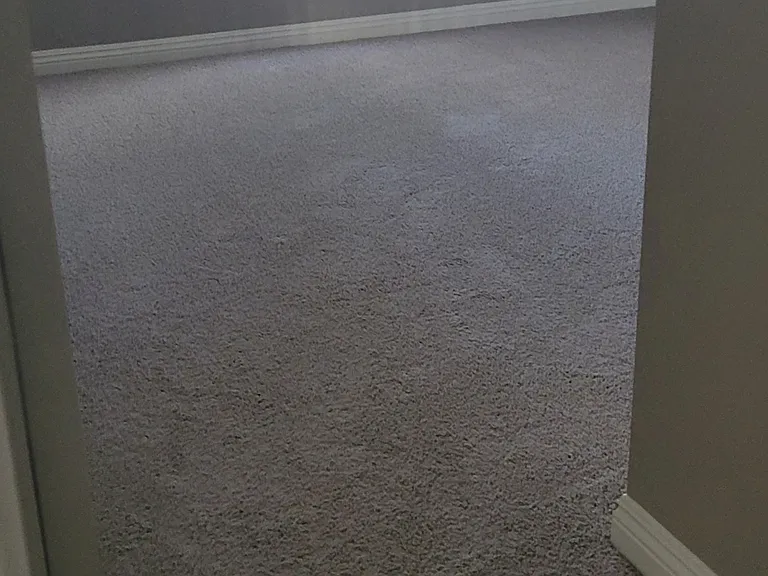 entry to guest bedroom