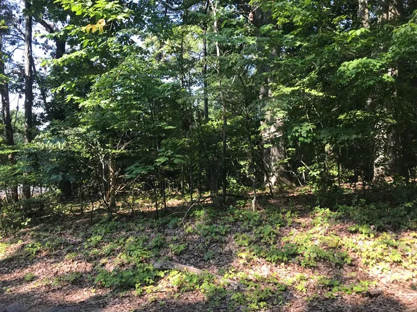 Clint Williams, Rutledge, TN 37861