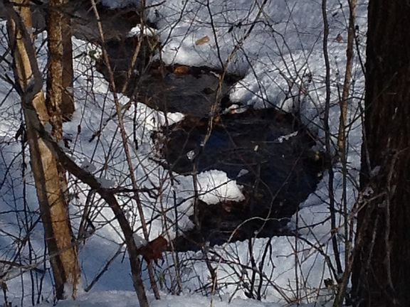 4th image of 4300 Warthen Dr
