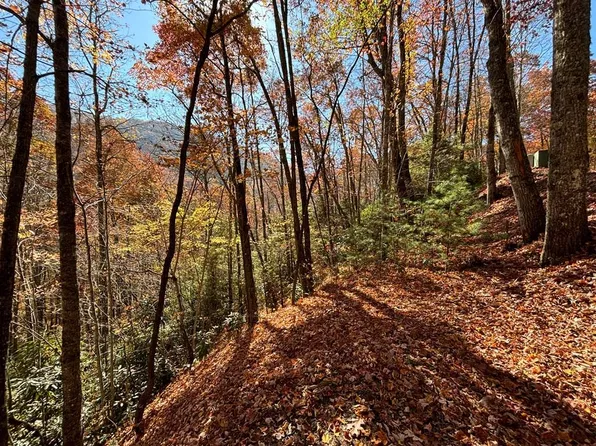 33 Coppermine Rdg, Whittier, NC 28789