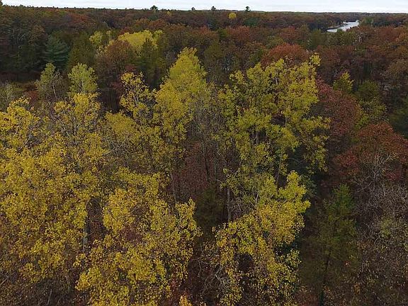 5th image of Vl S. Ogemaw Trail