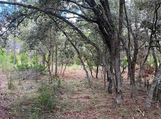 11375 Pheasant Ave, Weeki Wachee, FL 34614