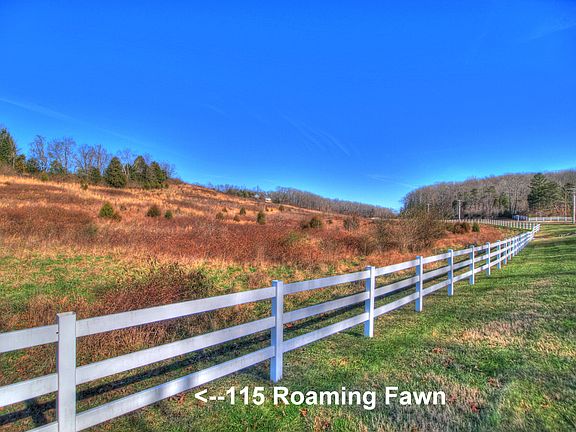 2nd image of 115 Roaming Fawn Dr Lot 611